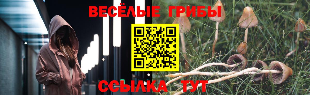 Троицк  Галлюциногенные грибы MAGIC MUSHROOMS  Вход с VPN 